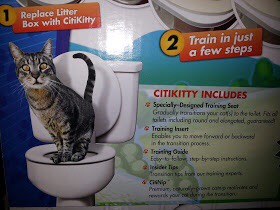 Citi Kitty for cats